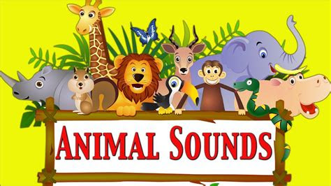 animal sounds  kids part  learn school