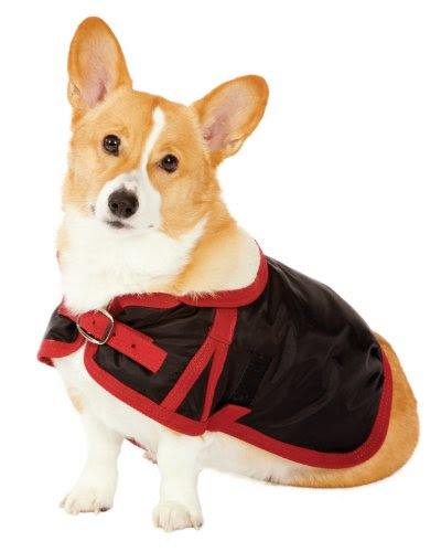 Fashion Pet Classic Country Dog Coat, Black Small