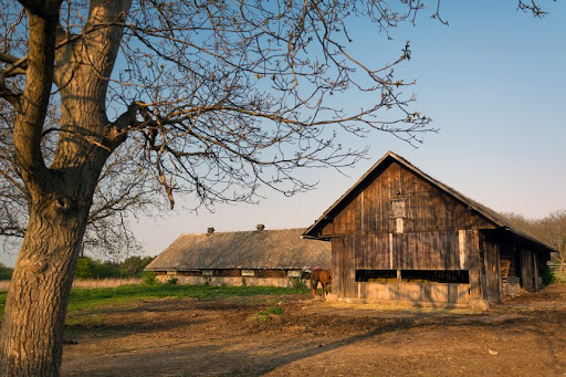 Obrázek