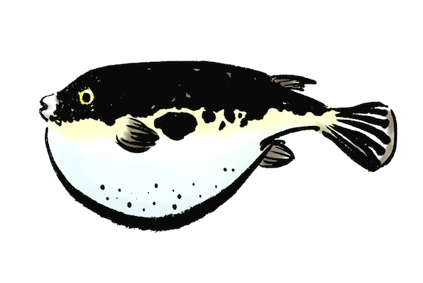 ふぐ墨絵 和風筆描き 無料イラスト配布サイトマンガトップ