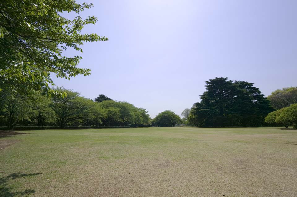 ゆんフリー写真素材集 No 3195 公園の芝生 日本 東京