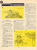 observer sc nat p21