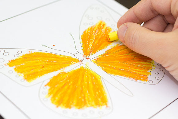 oil pastel butterfly step 3
