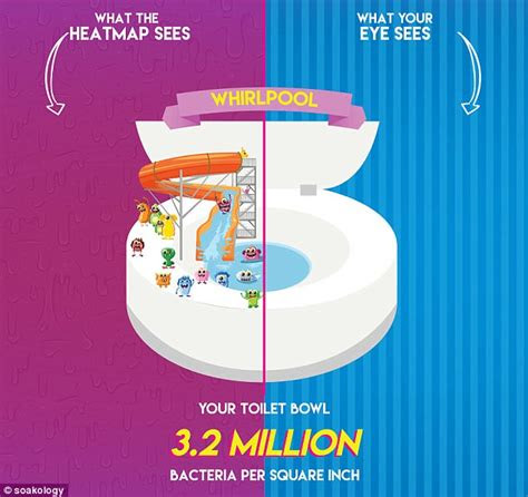 infographic reveals bacteria levels   bathroom