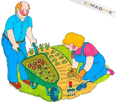 Brussels Sprouts: One plant yields 100 âsproutsâ (3 pounds) per ...