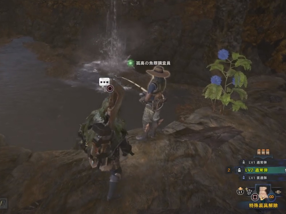 カセキカンス レア環境生物 入手方法 Mhw