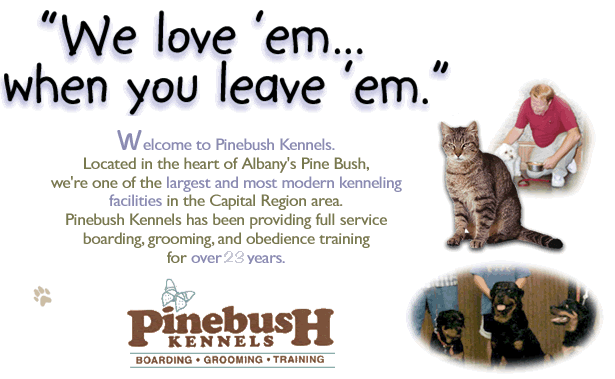 Member, Association of Pet Dog Trainers (APDT)