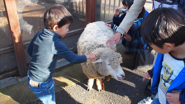Ueno Zoo