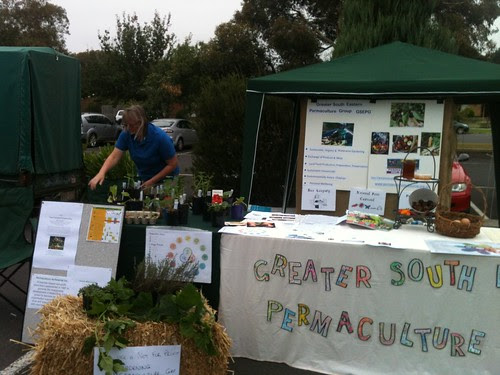 he seedlings we gave away