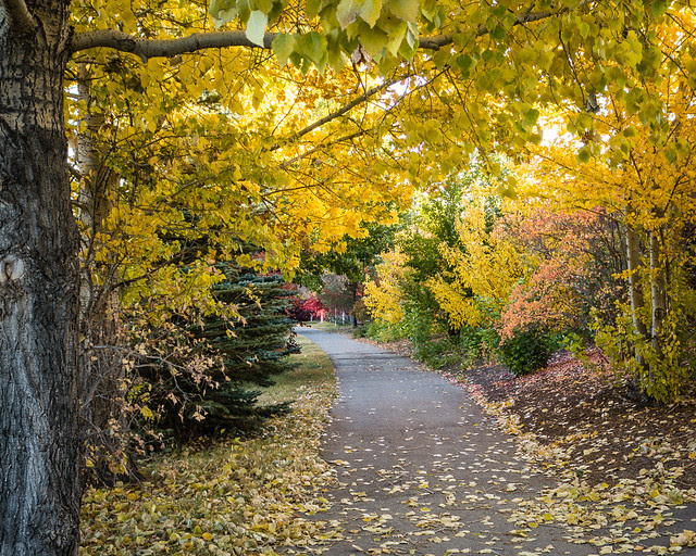 fall colors