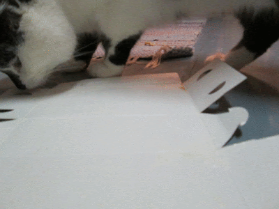 Your image is loading...