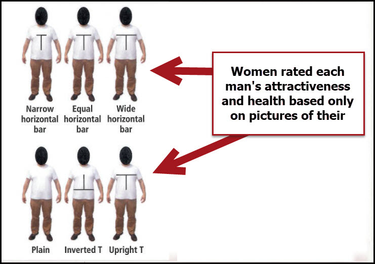 online dating body type translation table