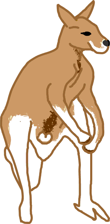カンガルー イラスト 無料 ｇｉｆ