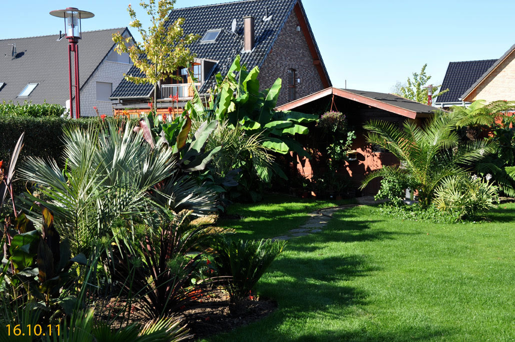Garten 2011 -Exoten und Palmen Claus Willich