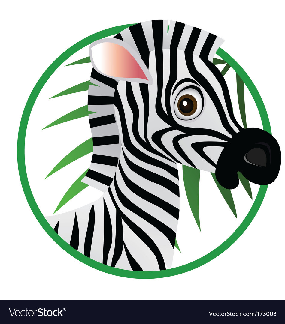 pictures of zebras cartoon. Zebra Cartoon Vector