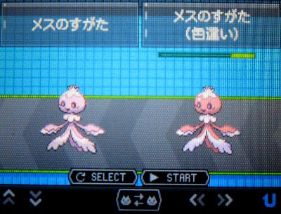 最も好ましい プルリル 色 違い ポケモンの壁紙