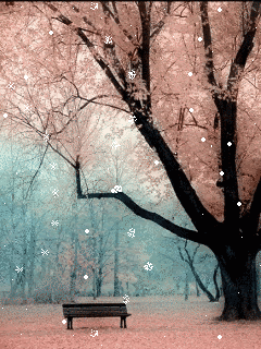  photo 0020.gif