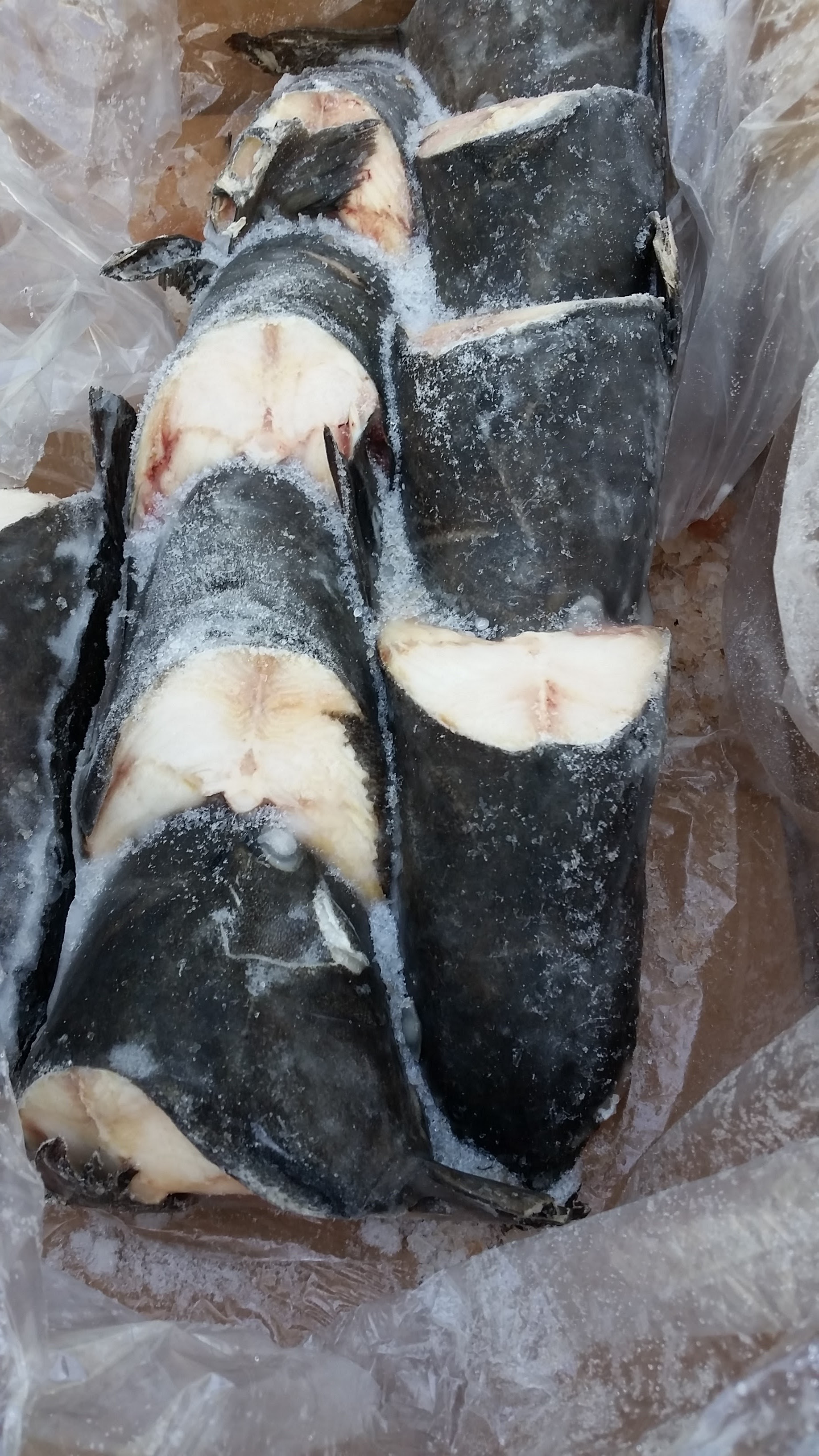 银鳕鱼 黑鳕black Cod Jf Seafoods Company 杰夫海产 加拿大
