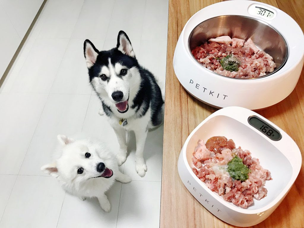 How To Raw Feed Your Dogs In Singapore Yingvannie