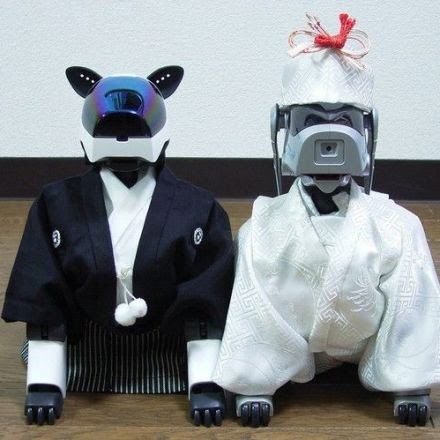 In Japan, Dog Owners Feel Abandoned as Sony Stops Supporting ‘Aibo’
