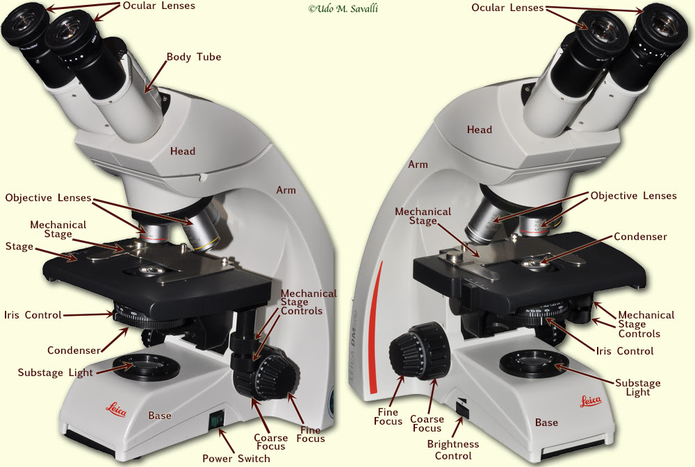 BIO201-Microscope
