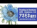 【人気ダウンロード！】 アネモネ イラスト 簡単 220823