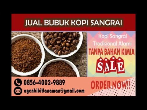 Video Jual Kopi Online