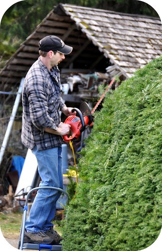 Trimming