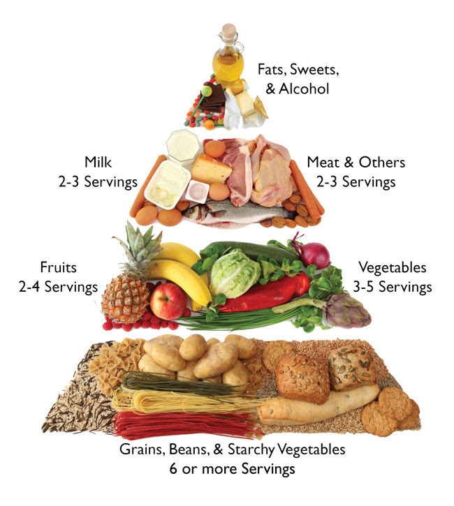 Greatest Food Pyramid 650 x 725 · 88 kB · jpeg