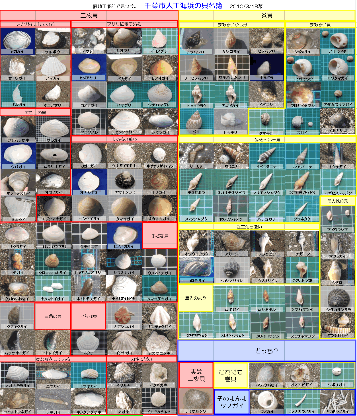 娘が3年間続けた夏休みの自由研究の集大成として 貝見本付きの貝図鑑を完成させました それを元に 人工海浜の貝図鑑を作ってみようと思います 図鑑になるまでの道のりは 海浜観察記録 に記してゆきます 10 3 18 卒業制作に関わった結果