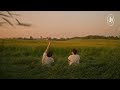 เนื้อเพลง Youngjae – Escape to Me (도망치는 건 부끄럽지만)