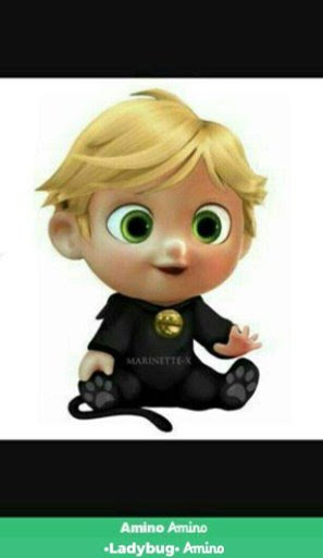 Chat Noir De Bebe Wiki Miraculous Ladybug Espanol Amino