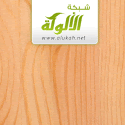 زيارة شبكة الألوكة