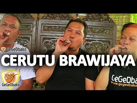 Riview GegeDbako : Cerutu Brawijaya