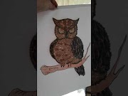31+ Kolase Burung Hantu, Tergokil!