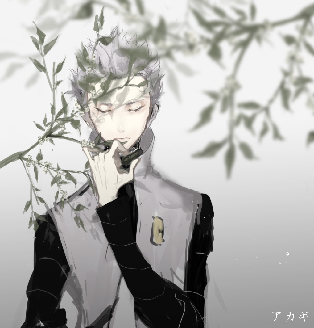 Akagi Pokemon Cyrus Pokemon Fanart Zerochan Anime Image Board