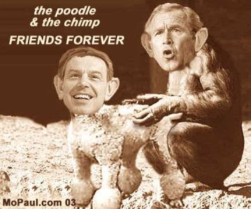 Bush Blair poodle