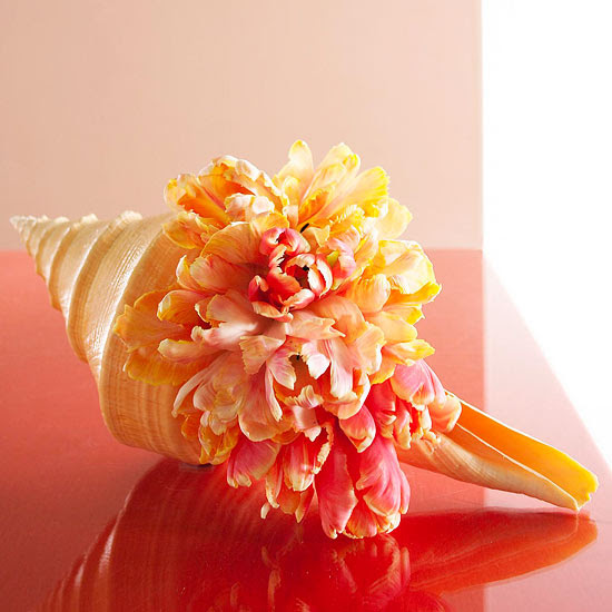 parrot tulips