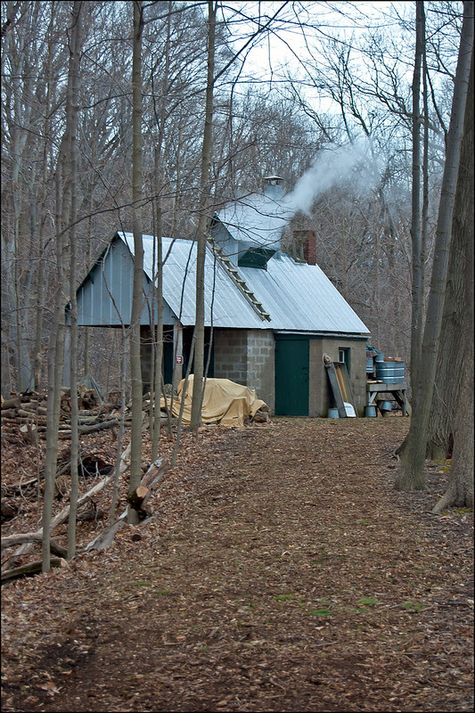Trail to the Sugar Shack