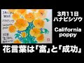 上 成功 花 言葉 283057-花 言葉 成功