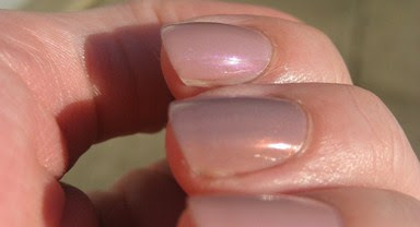 Estee Lauder & Essie
