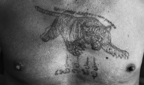 tribale tigre Tattoos