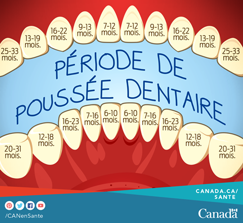 Hygiene Des Dents
