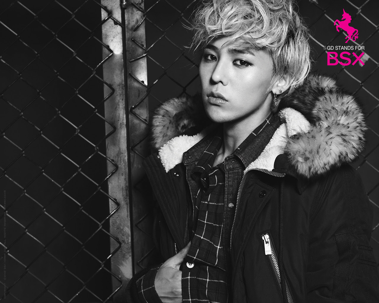 Bsx Winter Wallpapers Kwon Jiyong Wallpaper Fanpop