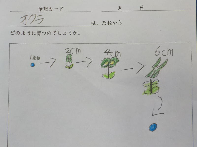 トップページ 多古町立久賀小学校