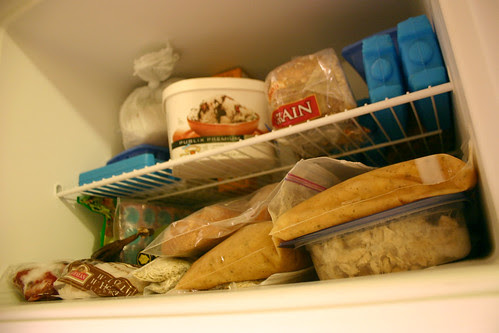 Freezing foods can save money and time by Our Green Atlanta
