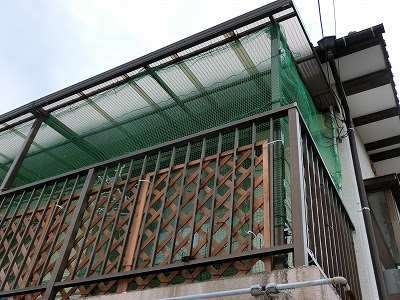 ｎｏ ｃａｔ ｎｏ ｌｉｆｅ 緊急特集 この夏のにゃんこの脱走対策