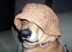 BucketHat_709_Sophie