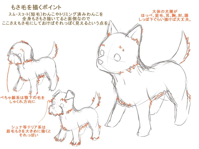 A05 桃色卍流 犬の描き方