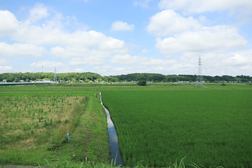 2013 Tokyo all_1047